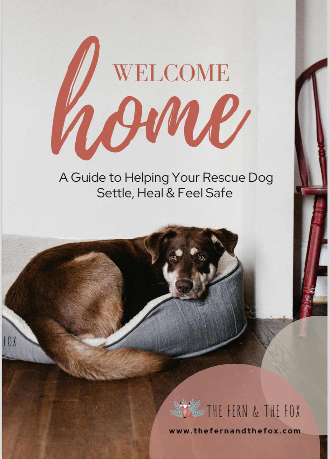 Welcome Home Guide for Rescue Dogs