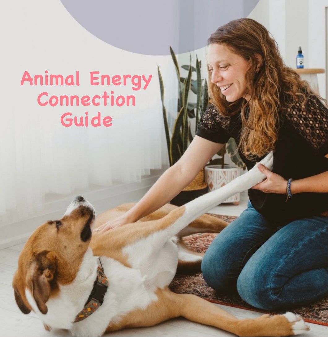 The Fern & The Fox Animal Energy Connection Guide