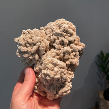 Load image into Gallery viewer, Desert Rose Selenite Cluster
